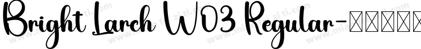 Bright Larch W03 Regular字体转换